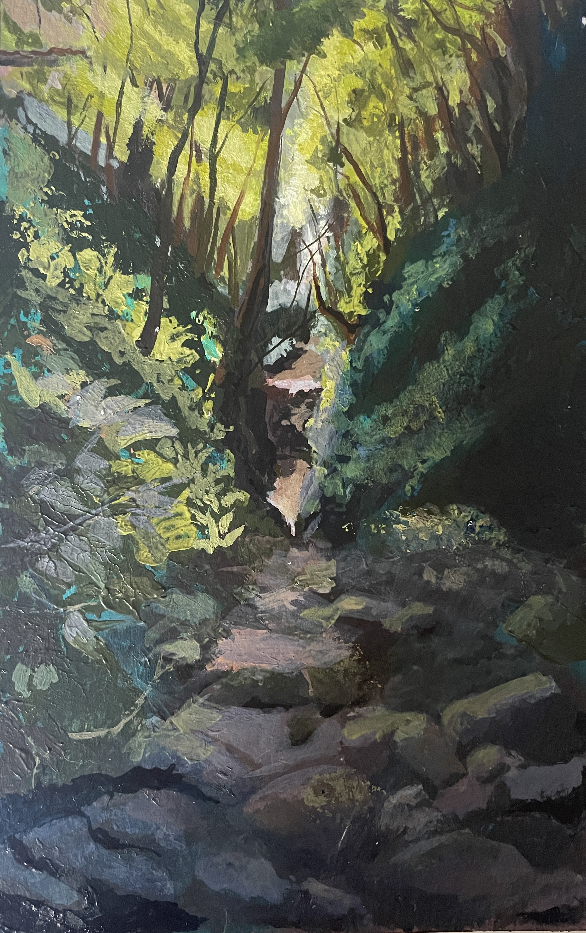 Light in the Woods 2